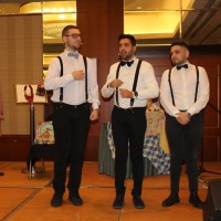 11. artisti